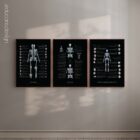 Human Anatomy Charts Set, Black Edition