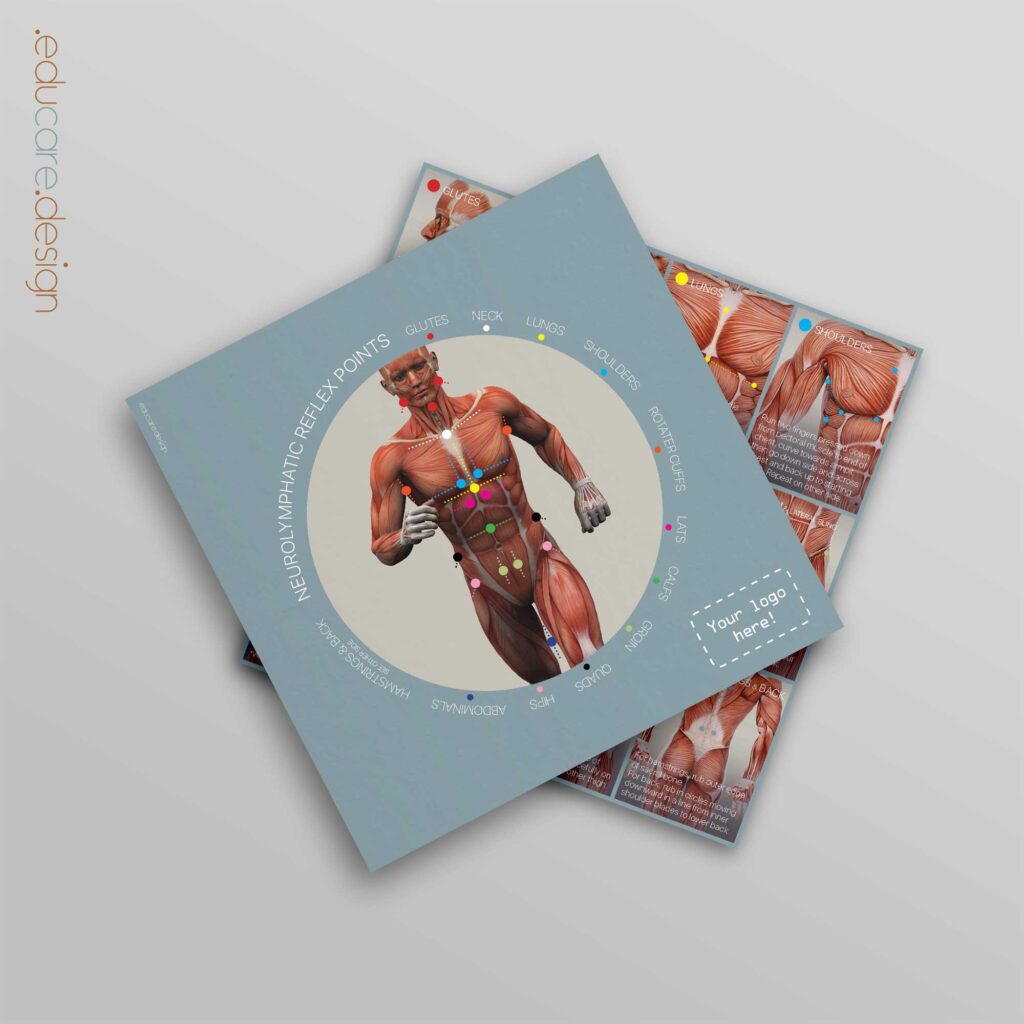 NRP: Neurolymphatic Reflex Points » educare.design