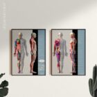 Myofasziale Triggerpunkte Tabelle