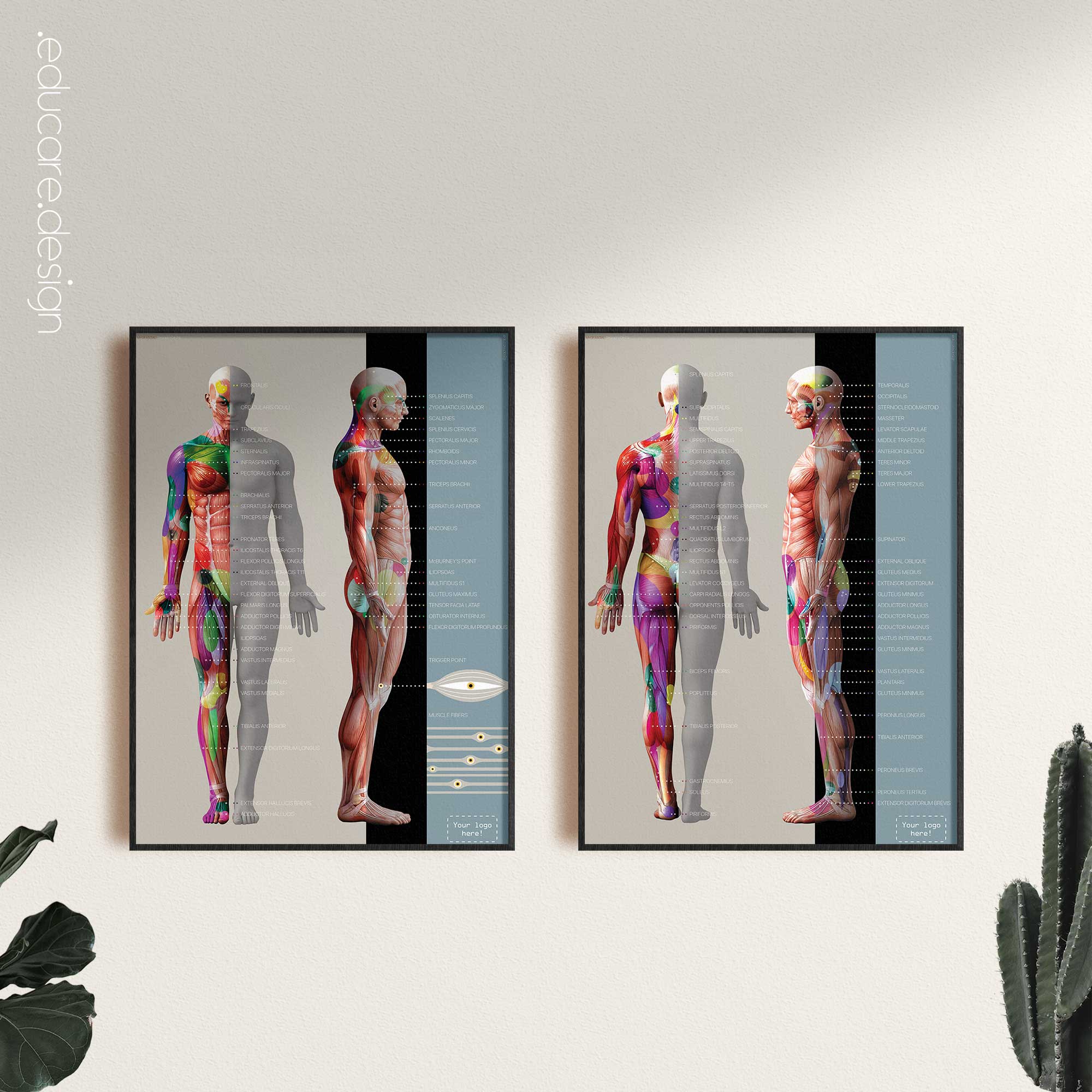 Myofasziale Triggerpunkte Tabelle