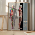 Myofasziale Triggerpunkte Tabelle