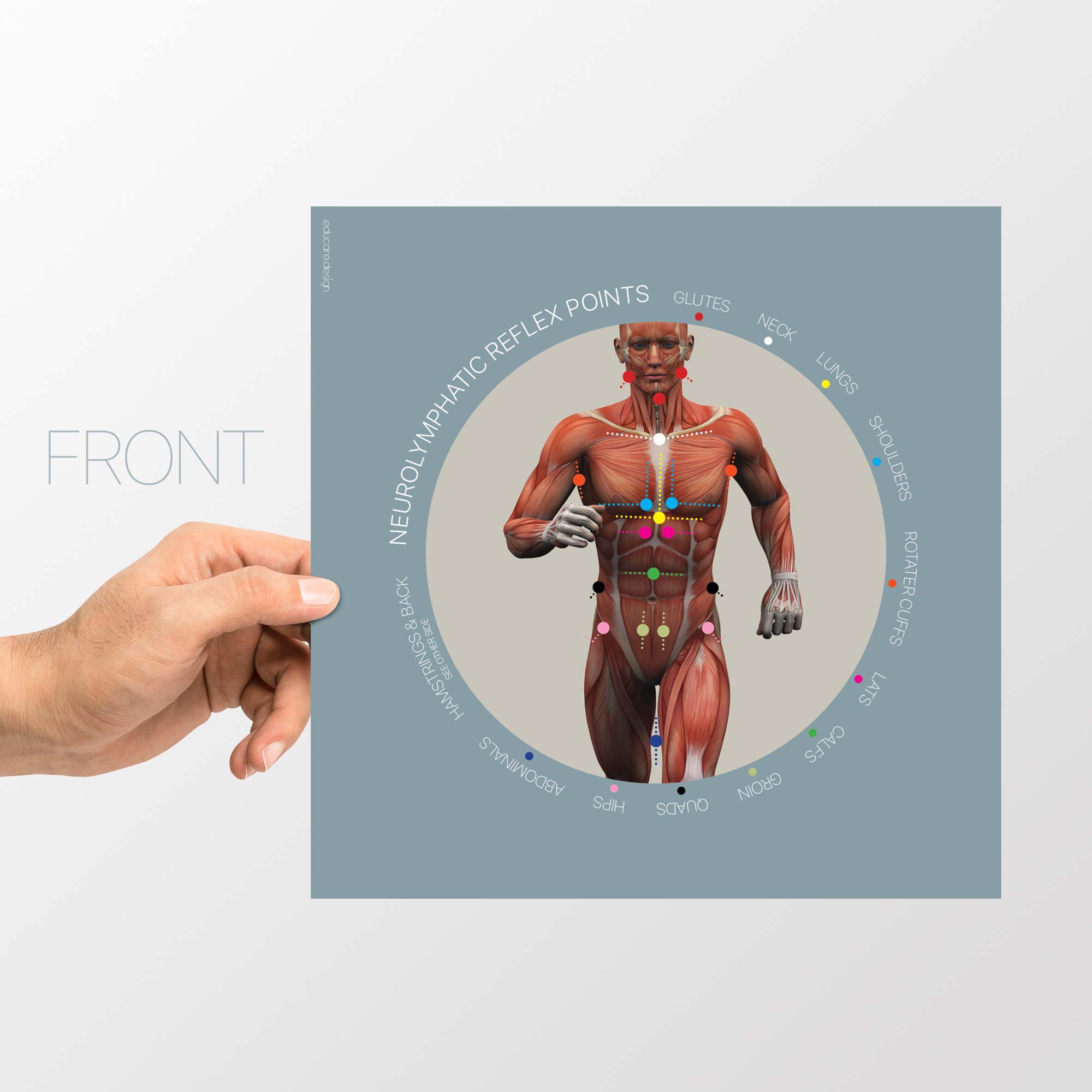 NRP: Neurolymphatic Reflex Points » educare.design