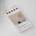 The Big Social Package anatomy chart for clinics