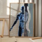Autonomic Nervous System anatomy chart for clinics