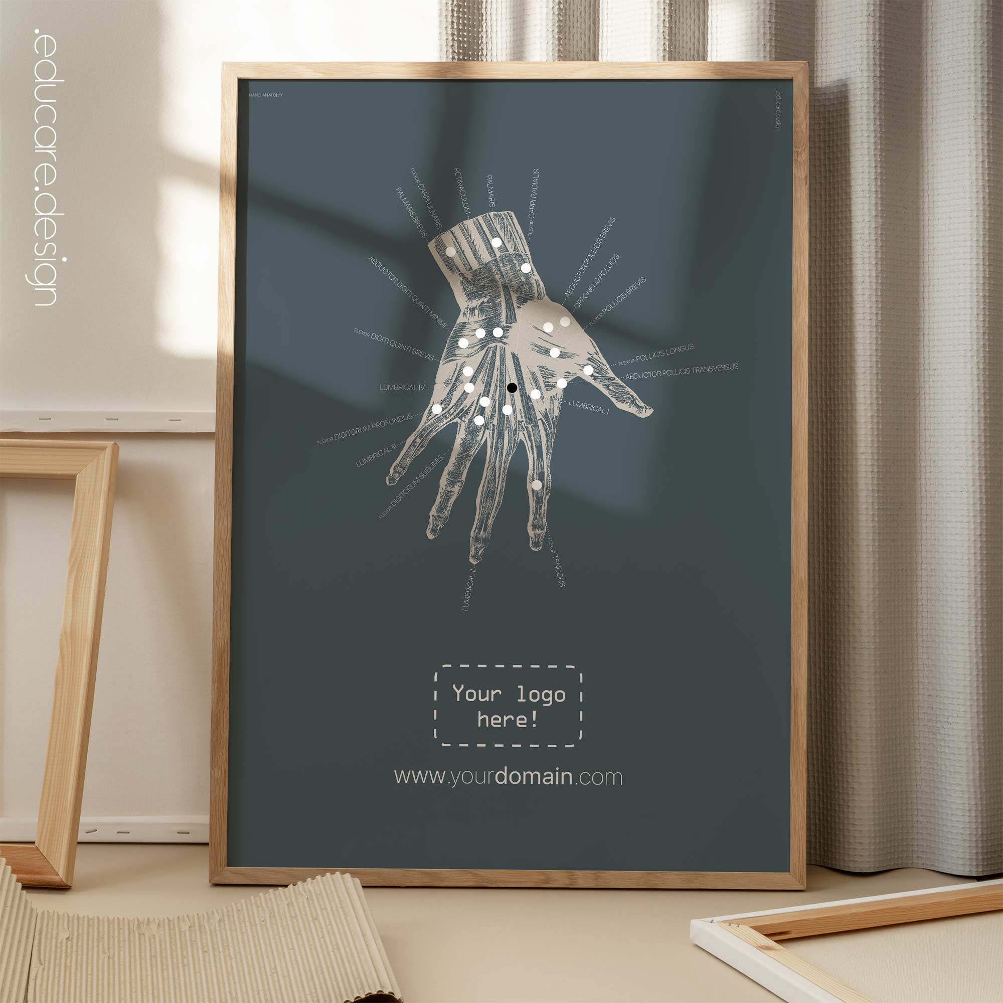 Hand anatomy. Vintage Anatomy from educare.design