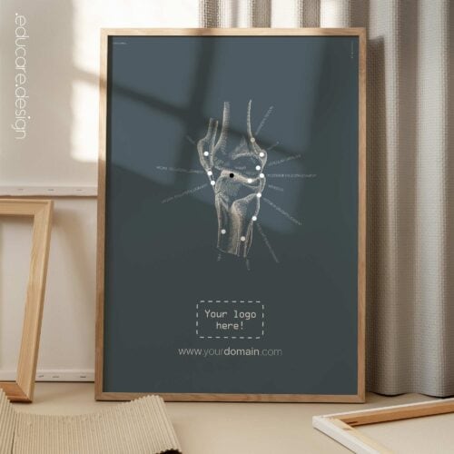 Ginocchio umano, vista laterale. Opere d'arte vintage di anatomia e fisiologia da educare.design