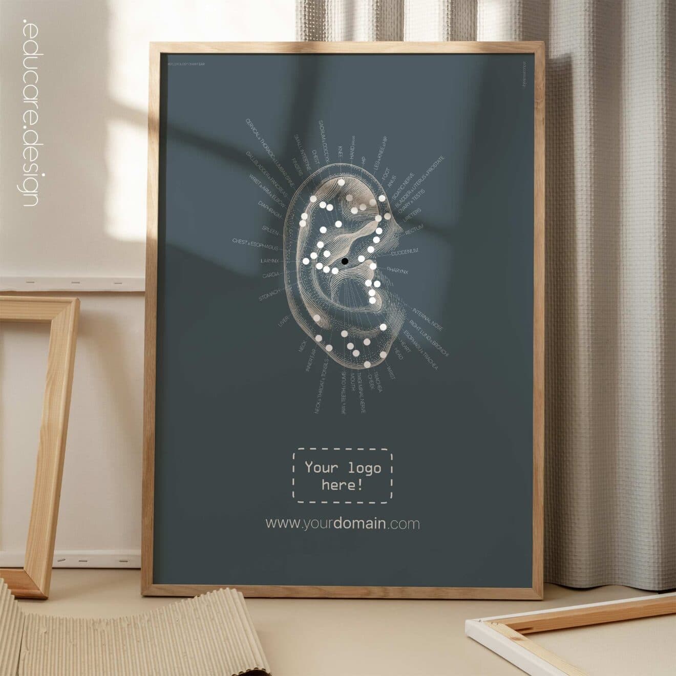 Reflexology Chart Ear » educare.design