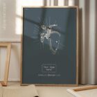 Spalla umana, vista frontale. Opere d'arte vintage di anatomia e fisiologia da educare.design