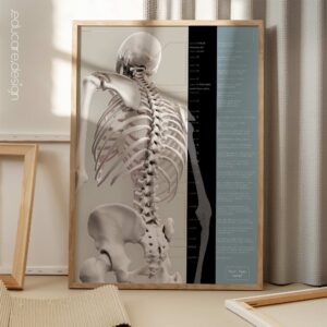 Spinal Motion and controlled physiology. Educational healthcare design from educare.design