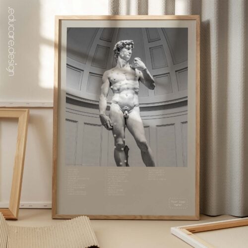 Sistema muscolare anteriore e David