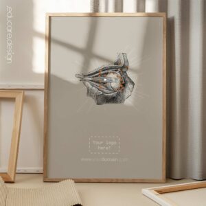 Eye, Lateral Surface. Vintage anatomy and physiology artwork from educare.design