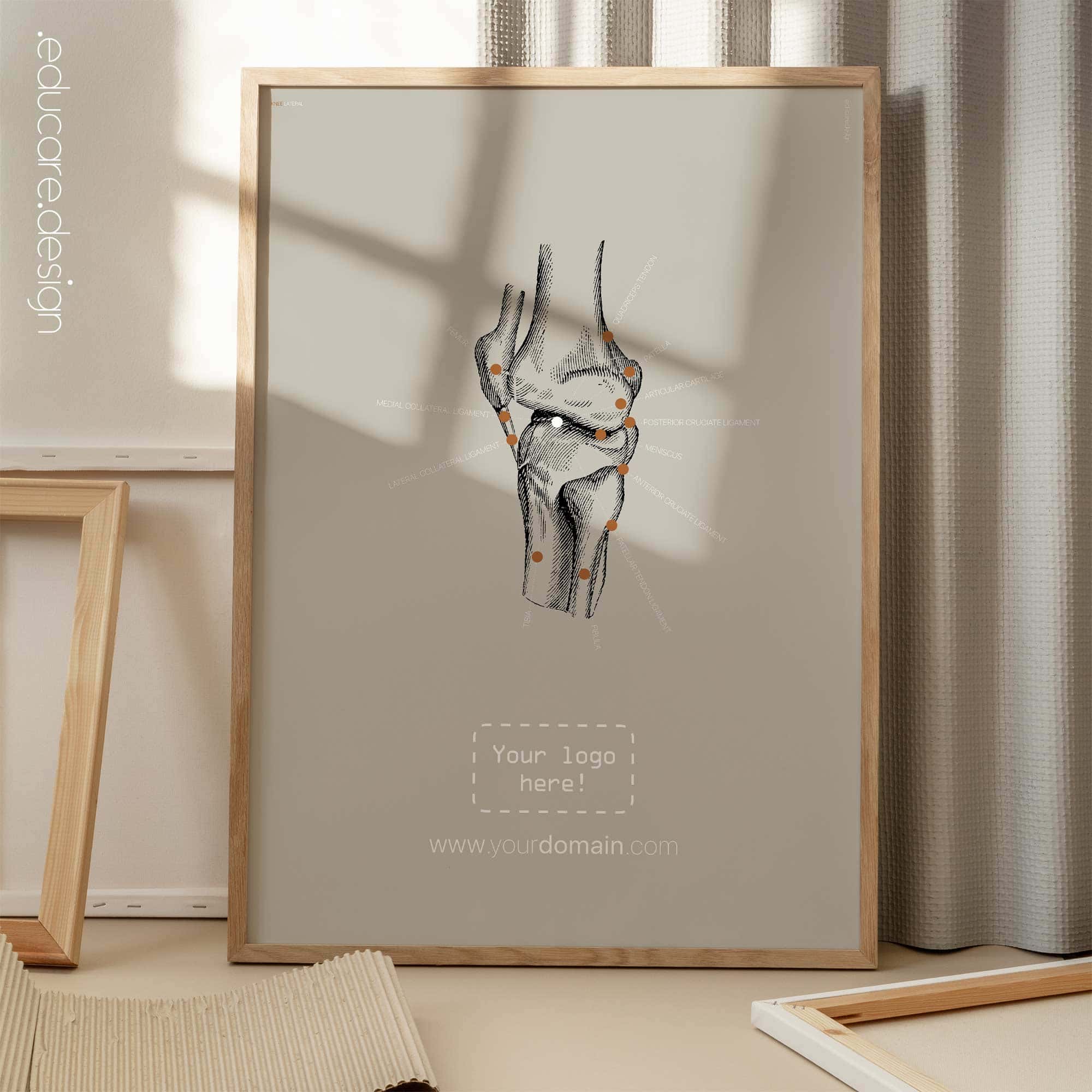 Ginocchio umano, vista laterale. Opere d'arte vintage di anatomia e fisiologia da educare.design