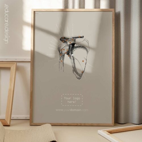 Épaule humaine, vue frontale. Œuvre d'art vintage sur l'anatomie et la physiologie d'educare.design