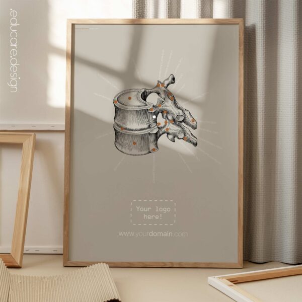 Thoracic Vertebrae. Vintage anatomy and physiology artwork from educare.design