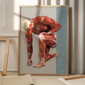 Injuries and Ailments. Anatomy and physiology artwork from educare.design