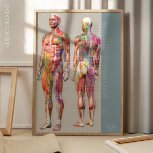 Sclerotomes Pain Map. Anatomy and physiology artwork from educare.design