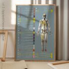 Angewandte Kinesiologie Diagramm von educare.design