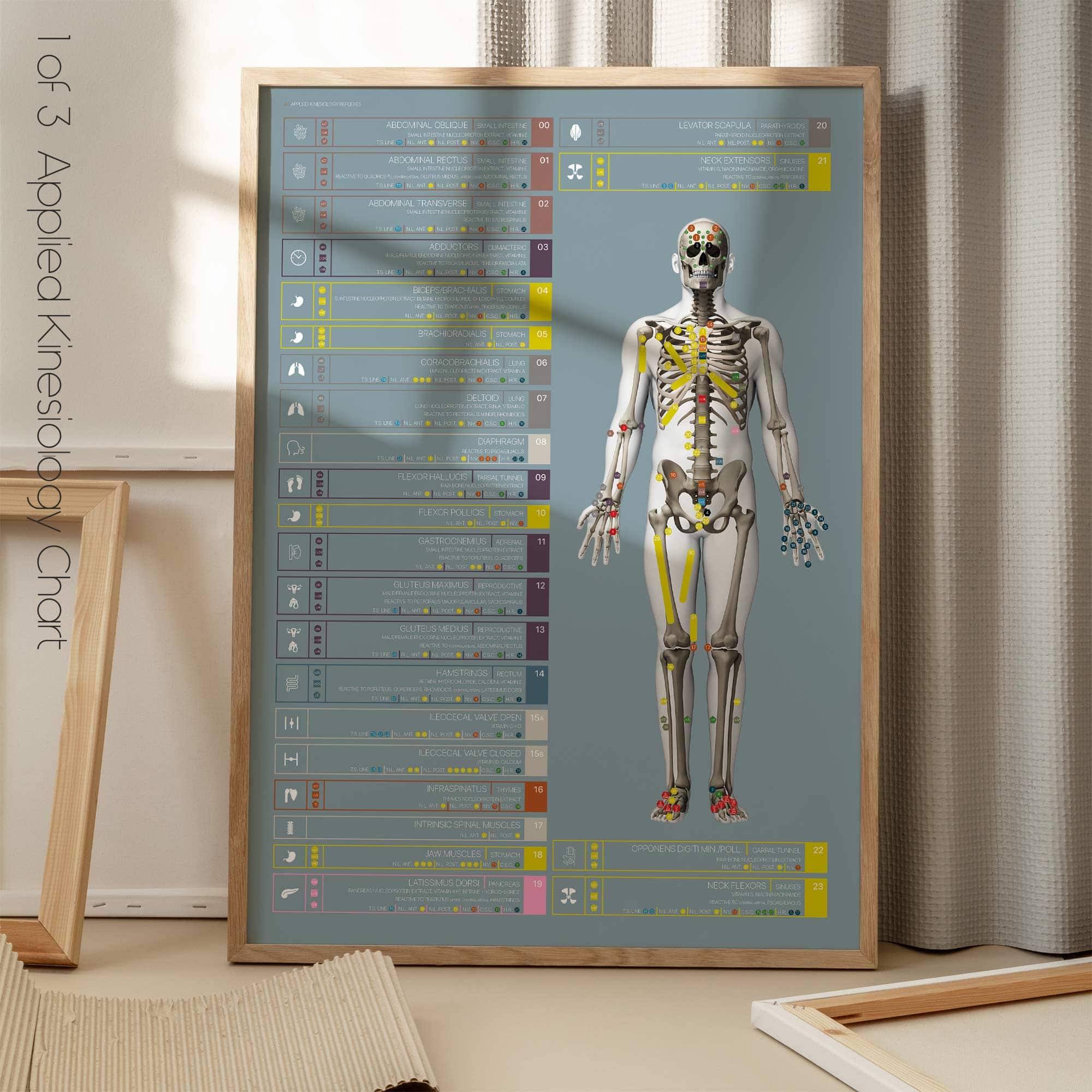 Angewandte Kinesiologie Diagramm von educare.design