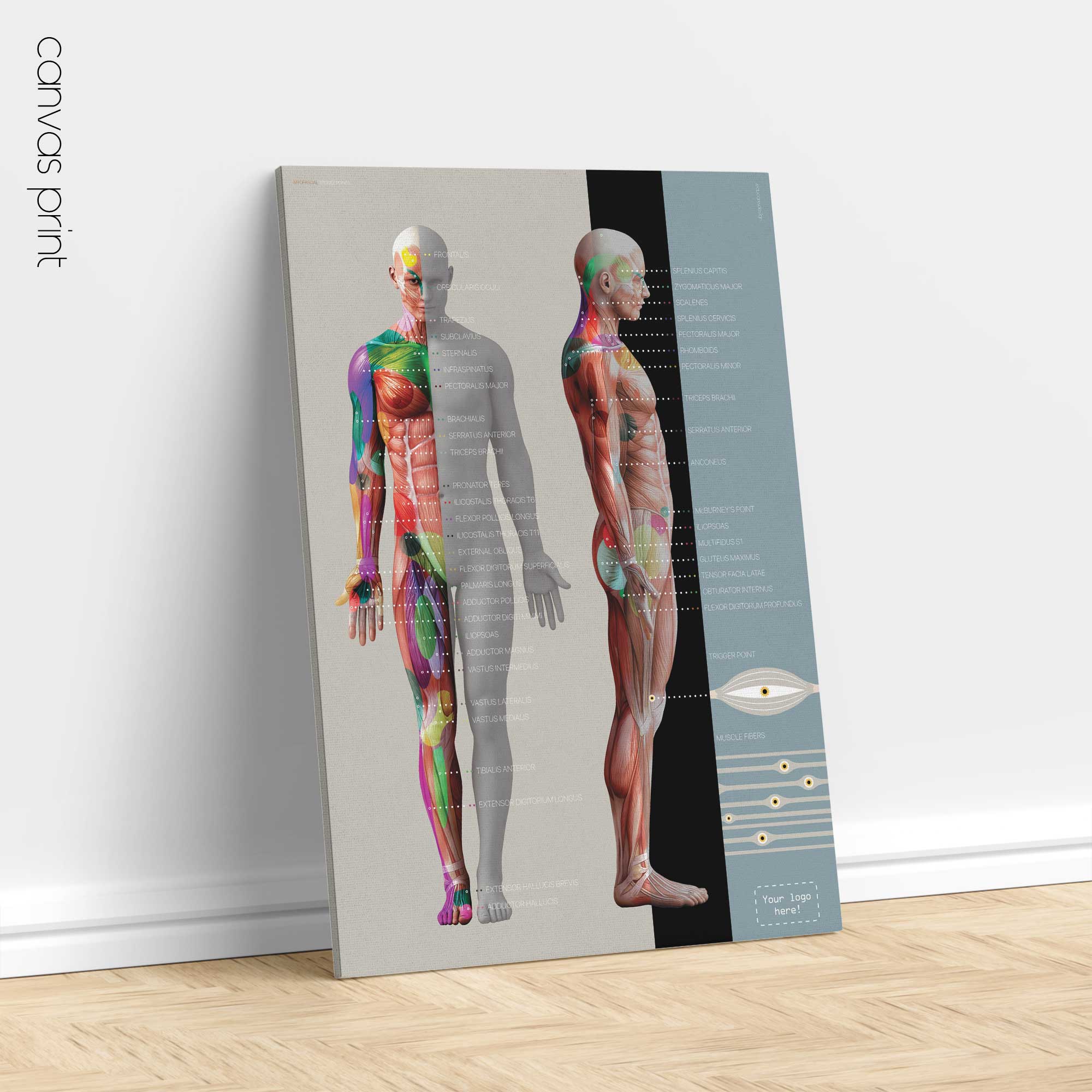 Myofasziale Triggerpunkte Tabelle