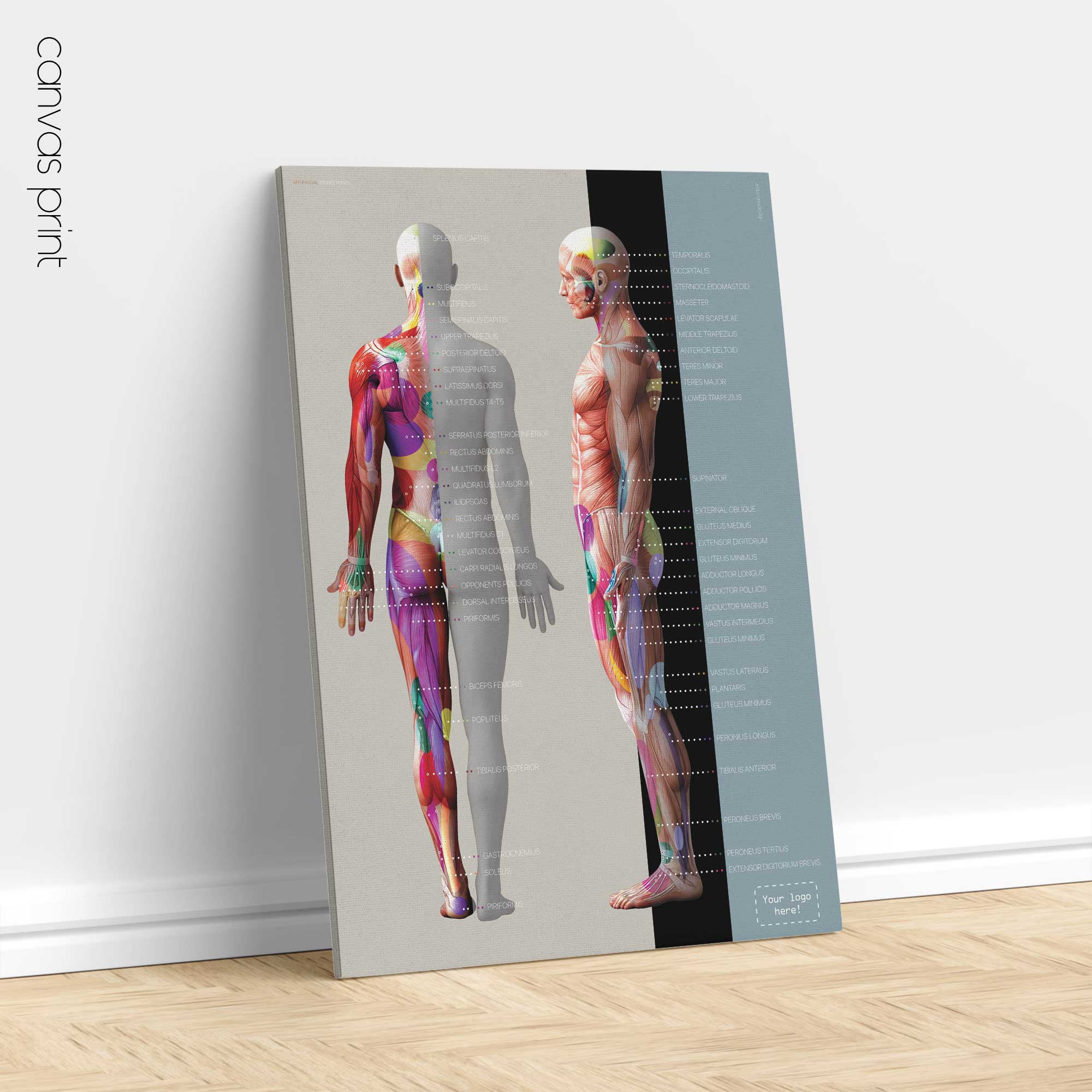 Myofasziale Triggerpunkte Tabelle