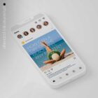 The Big Social Package anatomy chart for clinics