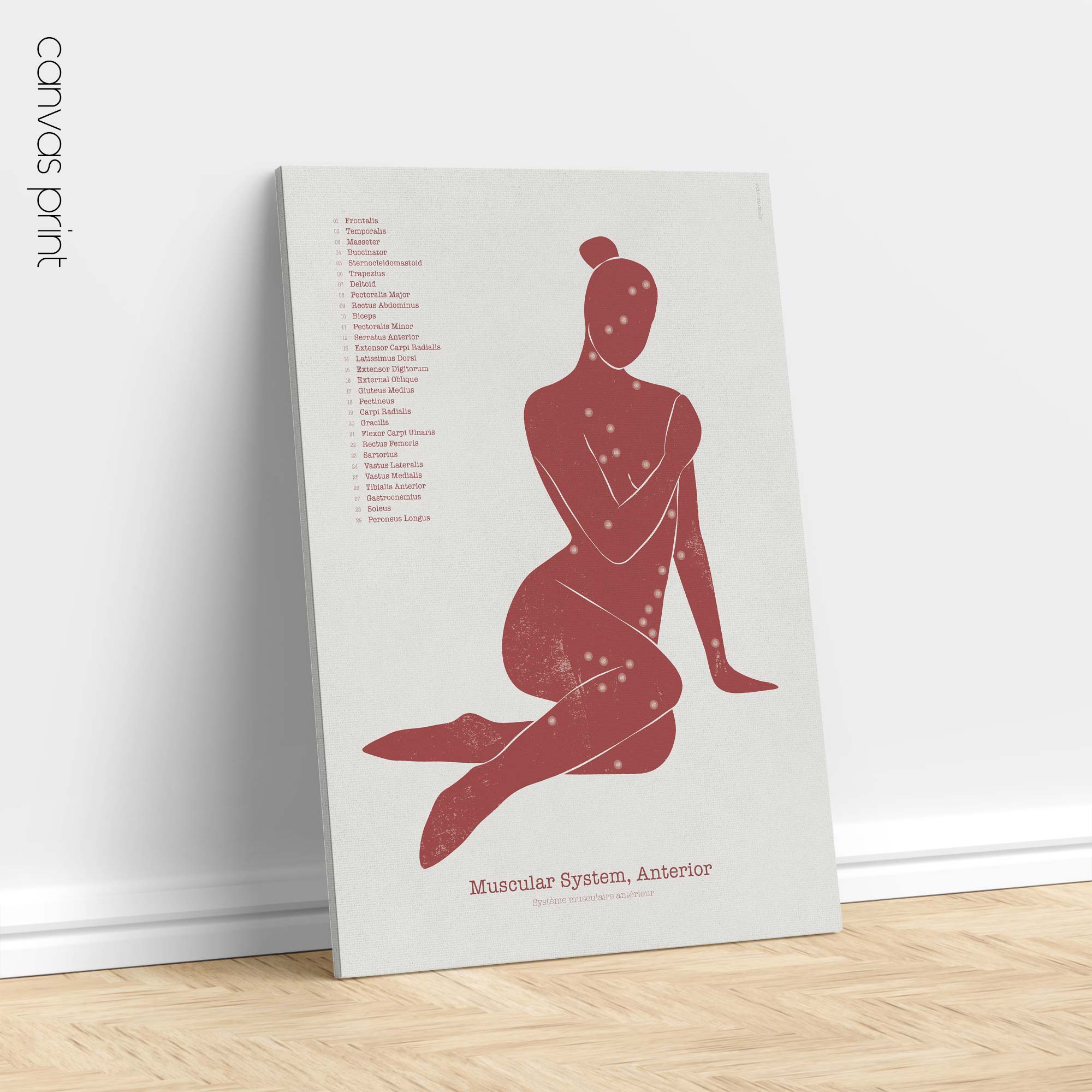 Get Adjusted! anatomy chart for clinics