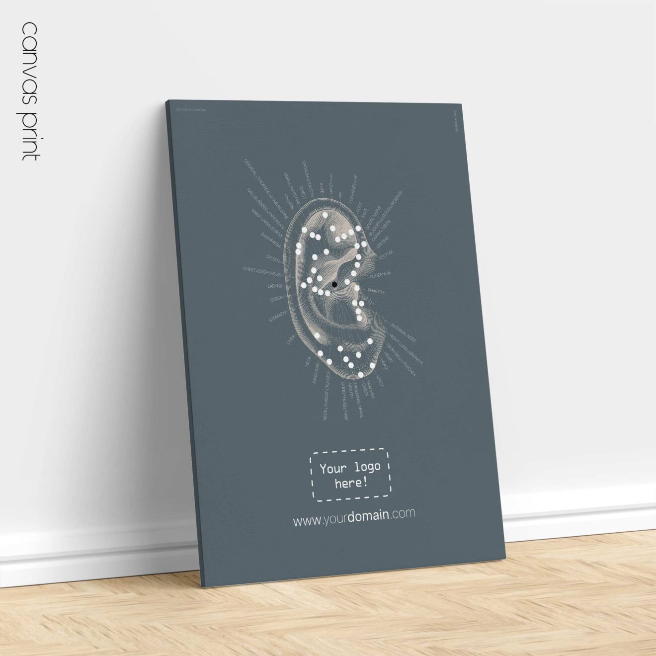 Reflexology Chart Ear » educare.design