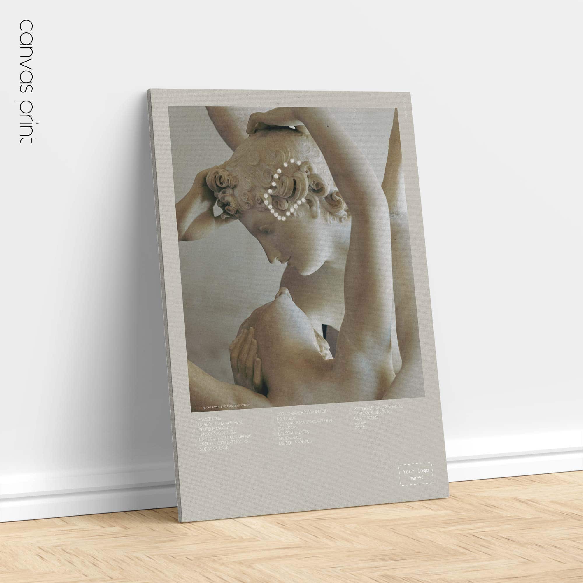 Ligne temporo-sphénoïdale