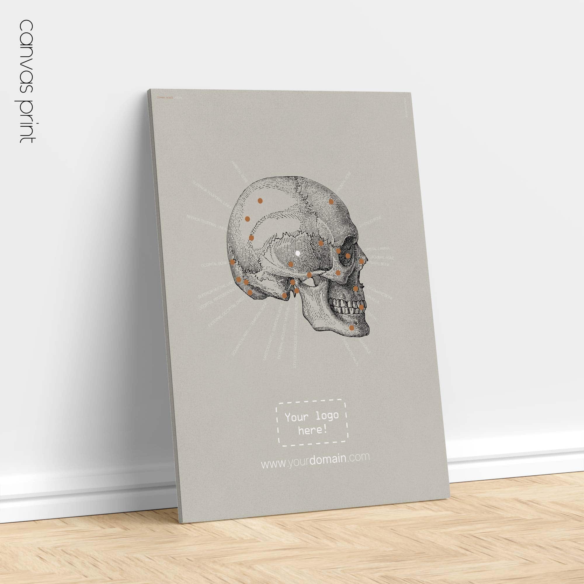 Lateral Cranial Bones