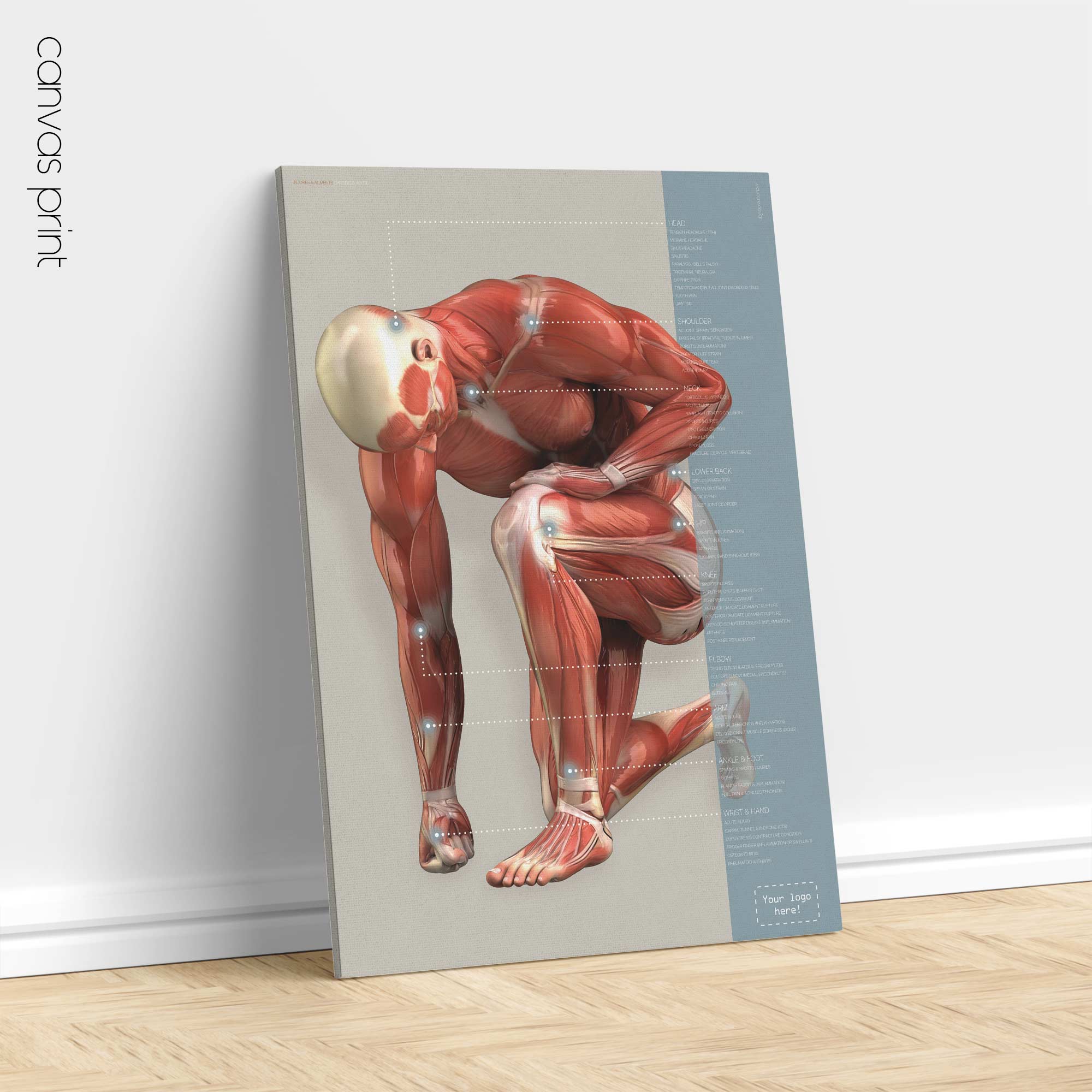 Injuries and Ailments. Anatomy and physiology artwork from educare.design