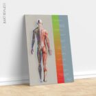 Treatment Plan (Road-to-Recovery) anatomy chart for clinics