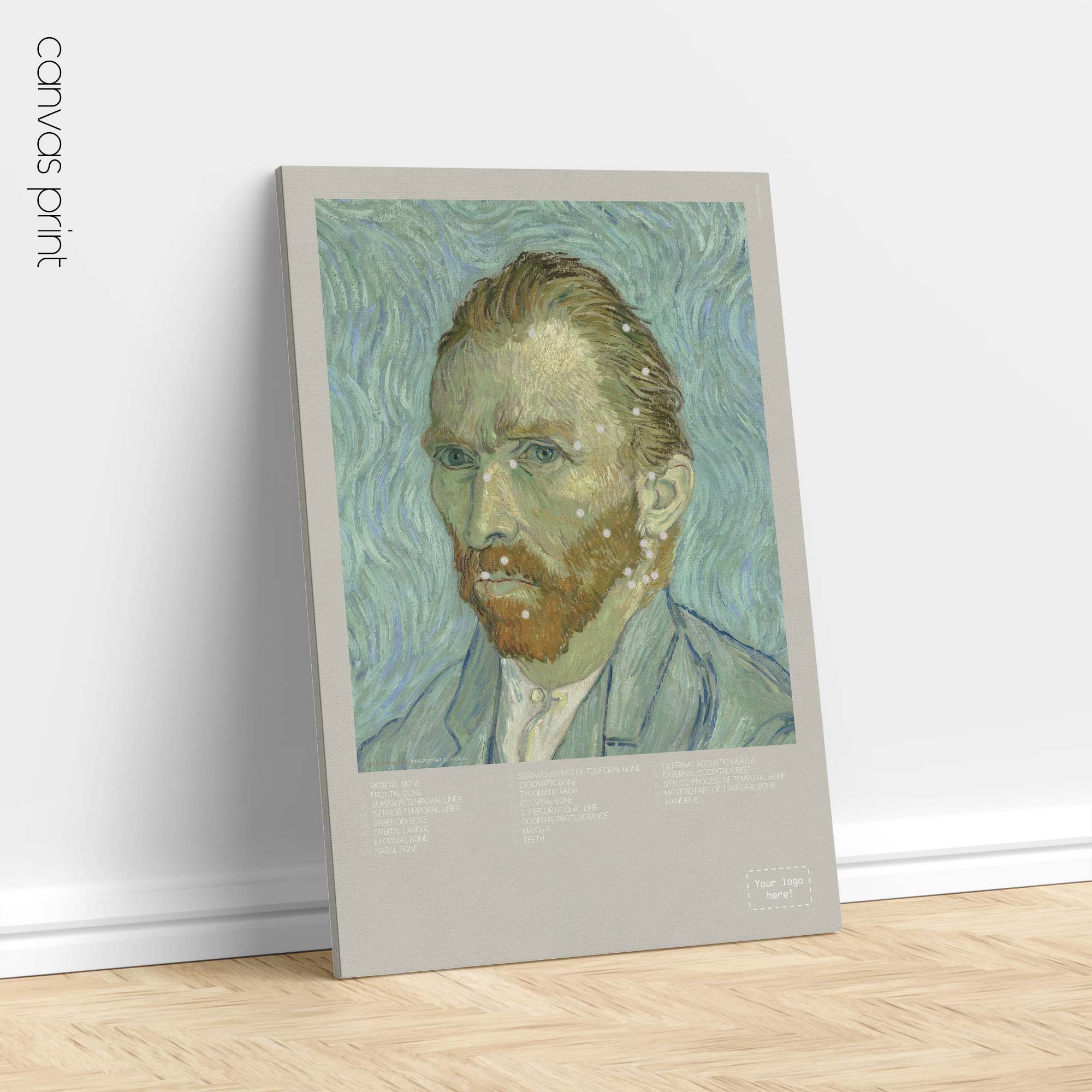 Ossa craniche laterali