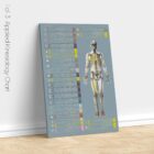 Applied Kinesiology Chart from educare.design