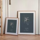 Spalla umana, vista frontale. Opere d'arte vintage di anatomia e fisiologia da educare.design