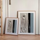 Wirbelsäulenbewegung und kontrollierte Physiologie. Bildungsdesign im Gesundheitswesen von educare.design