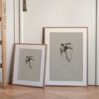 Spalla umana, vista frontale. Opere d'arte vintage di anatomia e fisiologia da educare.design