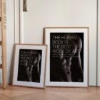 Men are Art anatomy chart for clinics