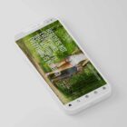 The Big Social Package anatomy chart for clinics