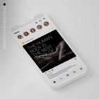 The Big Social Package anatomy chart for clinics