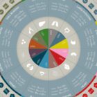 Angewandte Kinesiologie Diagramm von educare.design
