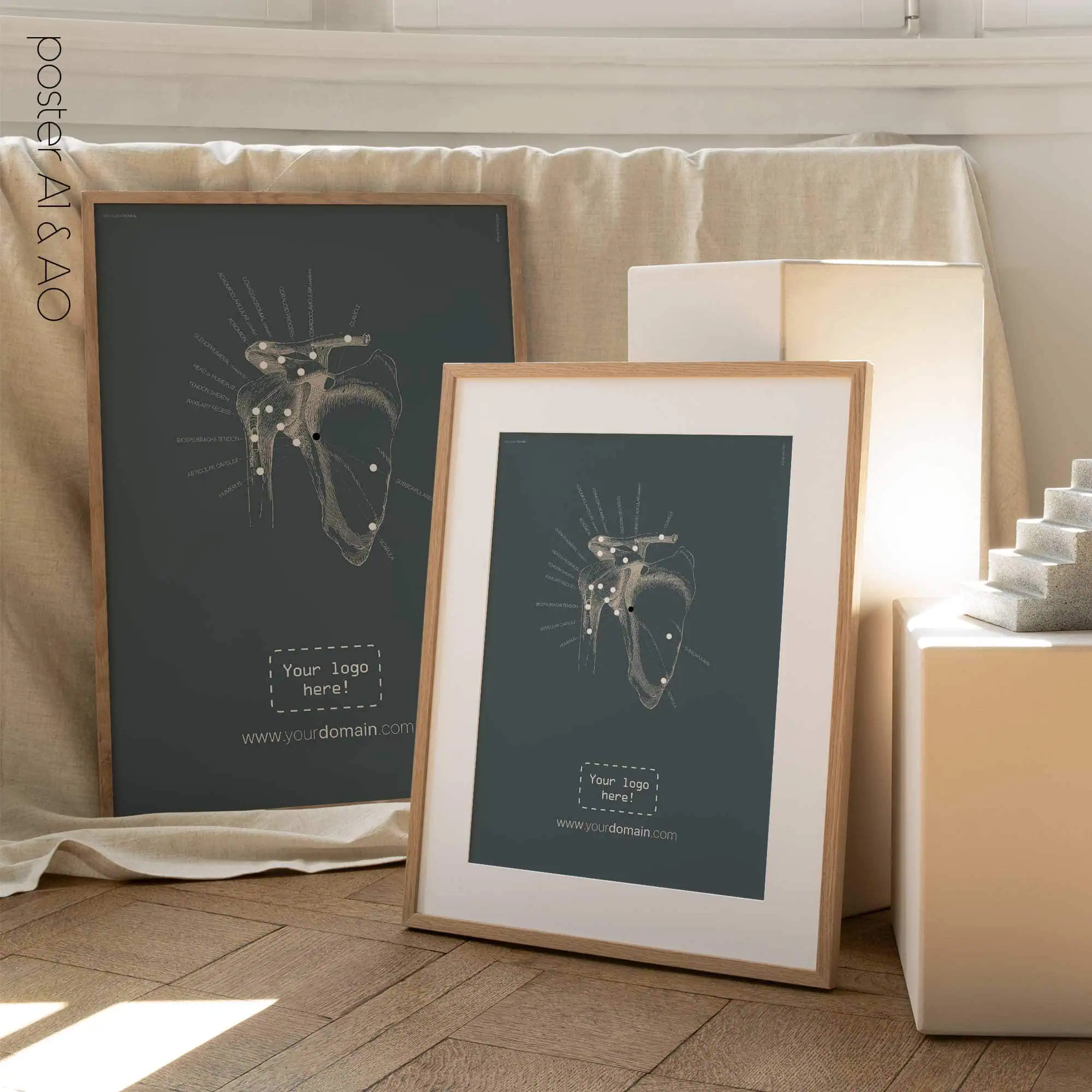 Spalla umana, vista frontale. Opere d'arte vintage di anatomia e fisiologia da educare.design