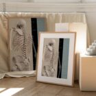 Wirbelsäulenbewegung und kontrollierte Physiologie. Bildungsdesign im Gesundheitswesen von educare.design