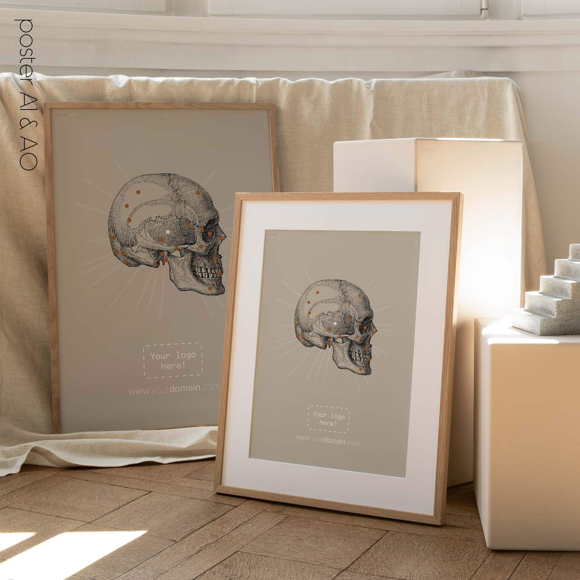 Lateral Cranial Bones