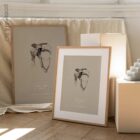 Spalla umana, vista frontale. Opere d'arte vintage di anatomia e fisiologia da educare.design