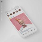 The Big Social Package anatomy chart for clinics