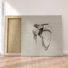 Spalla umana, vista frontale. Opere d'arte vintage di anatomia e fisiologia da educare.design