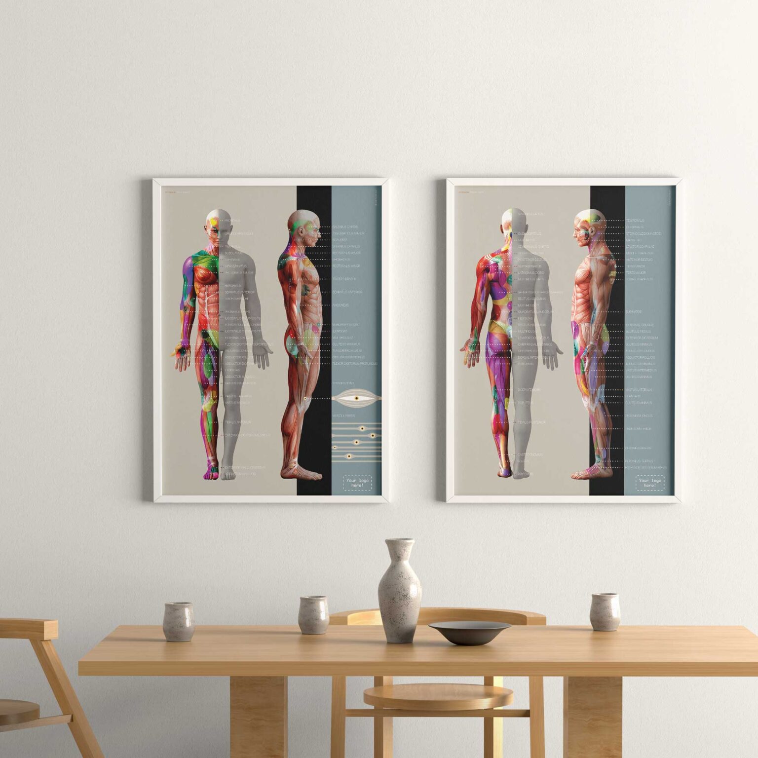 Myofascial Trigger Points Set » educare.design