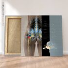 Sciatica and stenosis artwork from educare.design