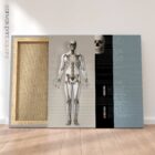 Skeletal System canvas. Anatomy and physiology artwork from educare.design