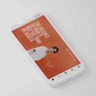 The Big Social Package anatomy chart for clinics